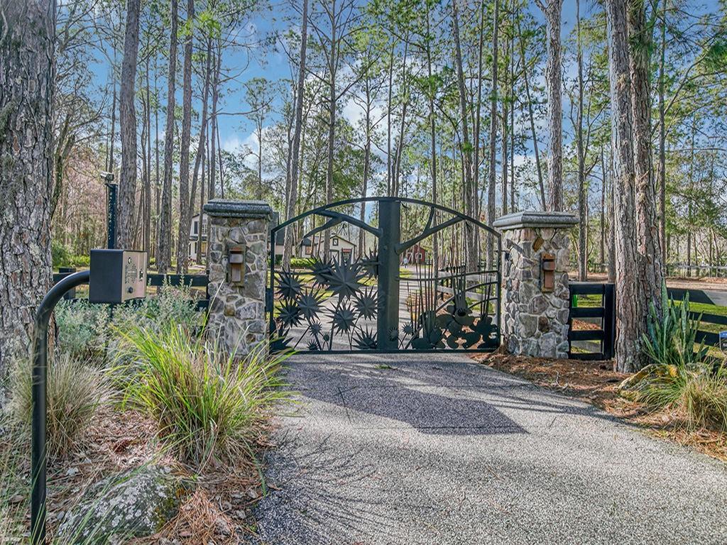 3510 Forelock Road Tarpon Springs, FL 34688 - Photo 1 of 1 a view of street along with trees