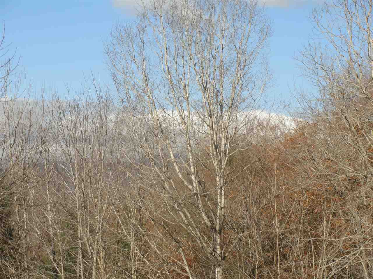 77 Christmas Mountain Road, Unit 77 Intervale, NH 03845 - Photo 3 of 19 Gallery Image 3
