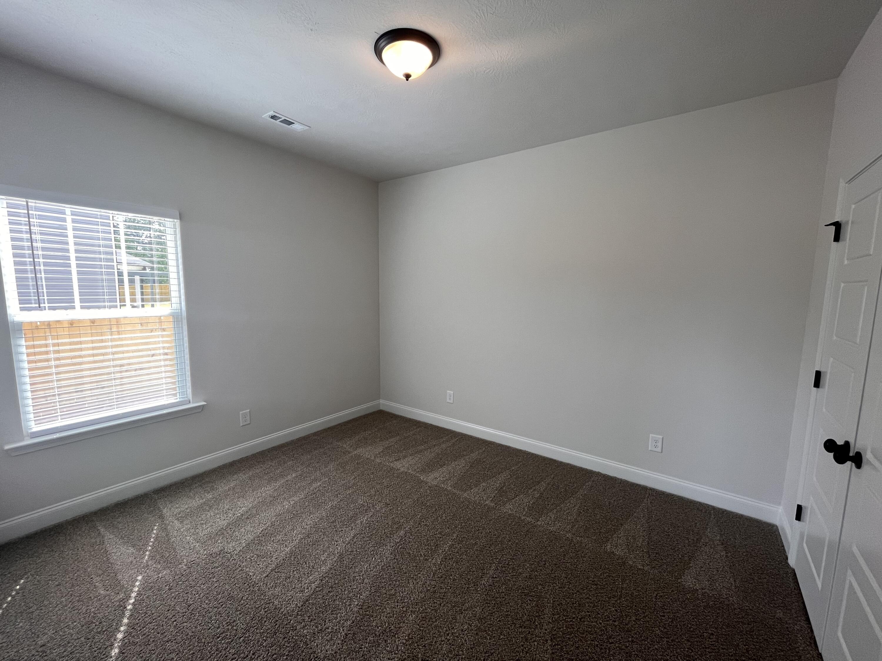 4213 Fringetree Loop New Ellenton, SC 29809 - Photo 6 of 13 IMG_9698