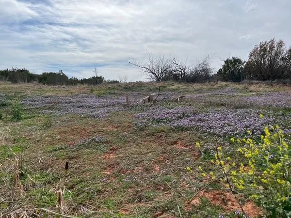 a view of a field with trees in background