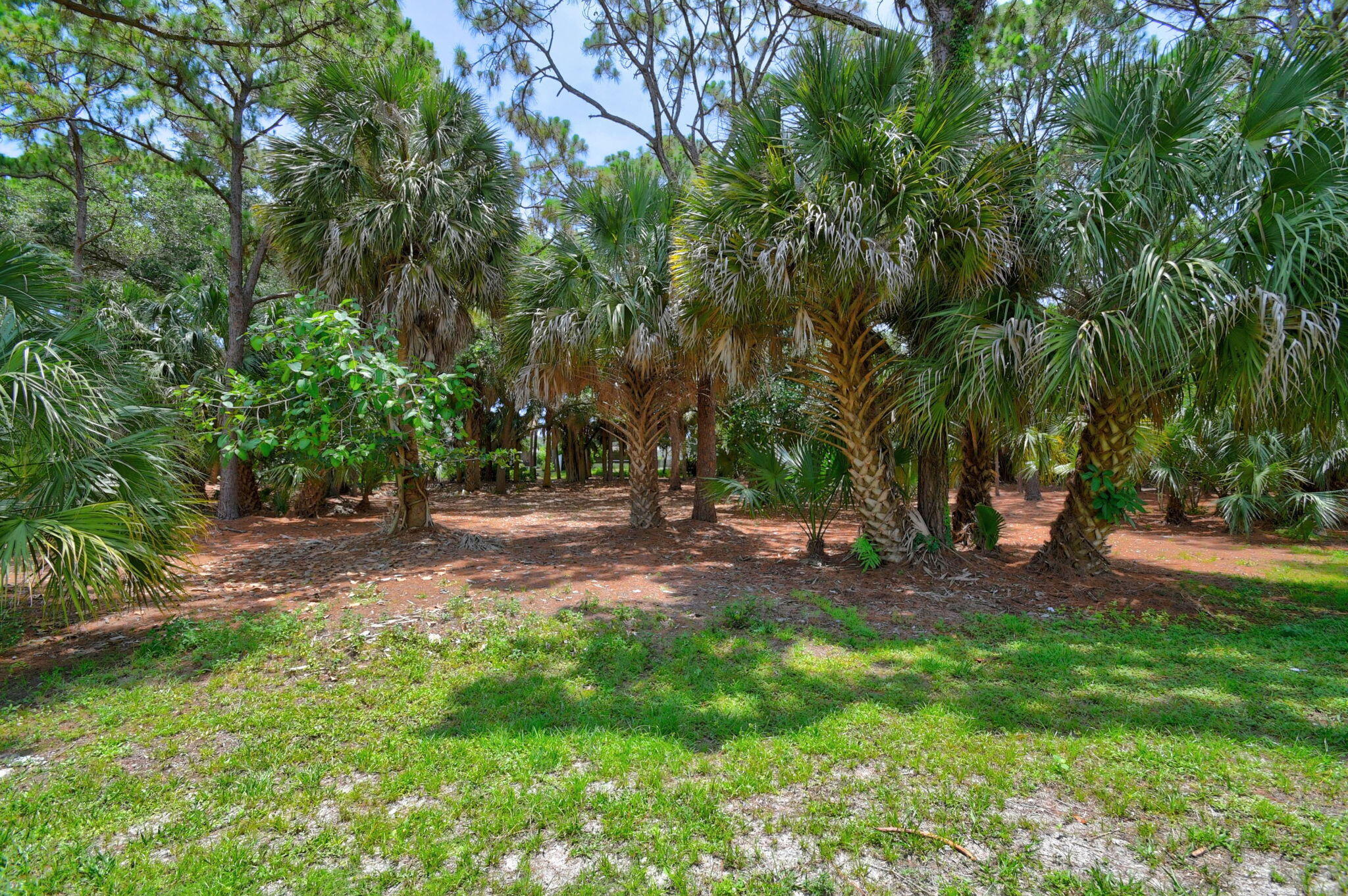 8332 Bermuda Sound Way Boynton Beach, FL 33436 - Photo 44 of 67 44-web-or-mls-DSC_5552