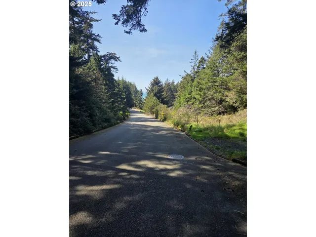 a view of a yard with plants and trees