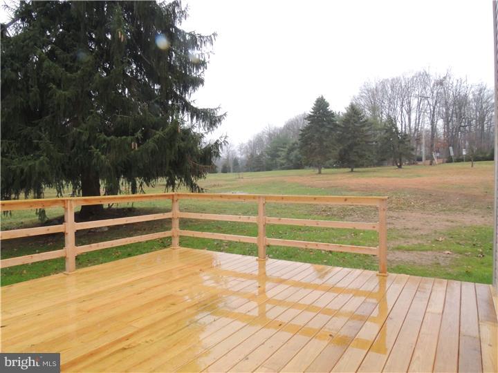 2019 Conestoga Road Malvern, PA 19355 - Photo 16 of 17 Deck