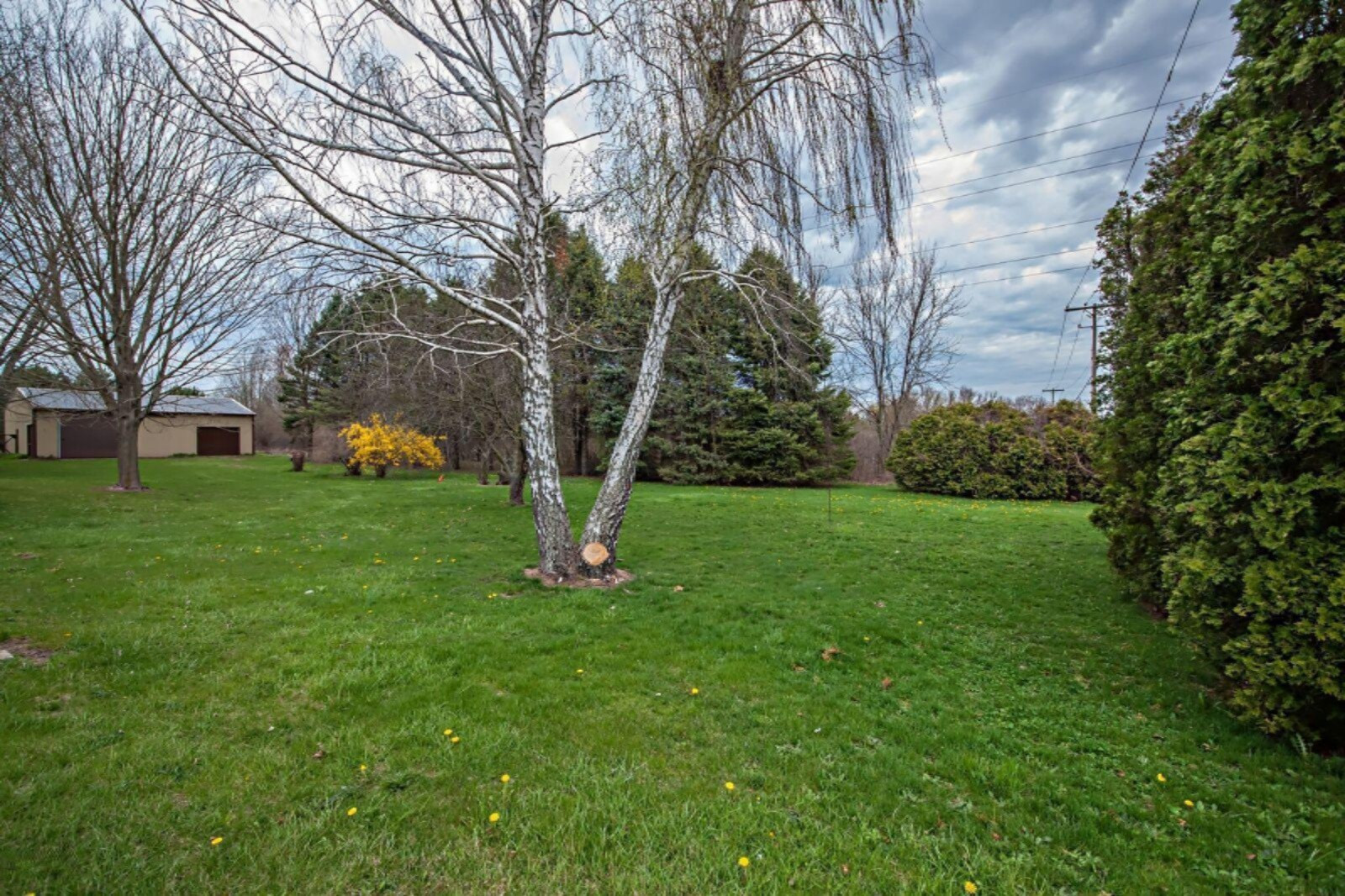 4990 Bundy Road Coloma, MI 49038 - Photo 6 of 24 DSC06630_pe_preview.jpeg