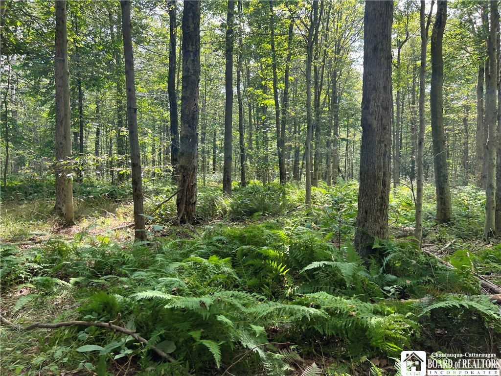 Mead Road North Jamestown, NY 14701 - Photo 22 of 42 Gallery Image 22