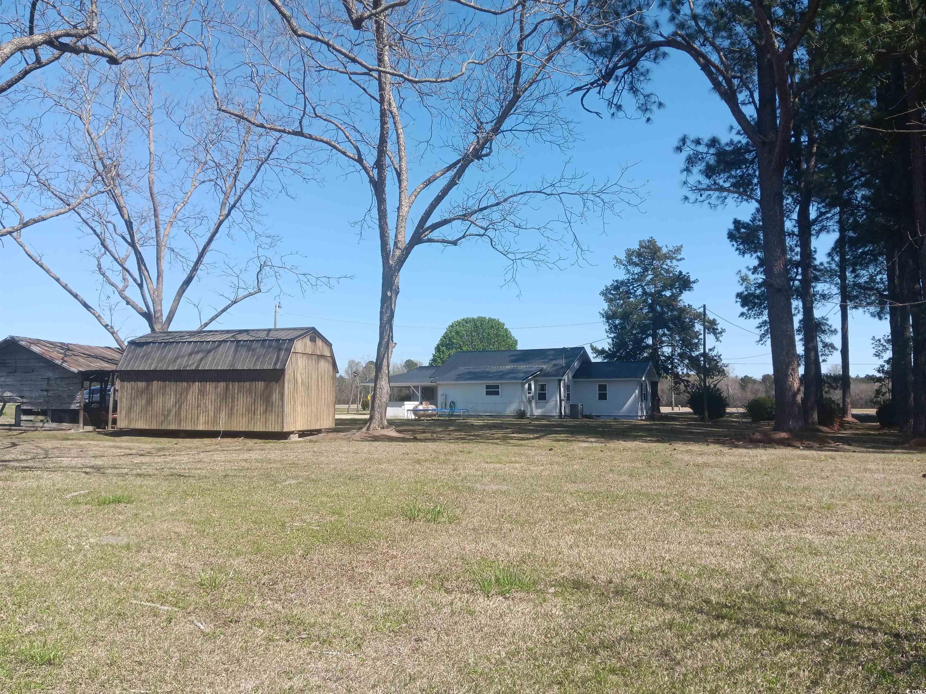 360 Green Sea Road South Loris, SC 29569 - Photo 5 of 27 View of yard featuring an outdoor structure and a