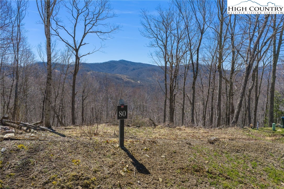 Lot 80 Bear Paw Road Elk Park, NC 28622 - Photo 3 of 19