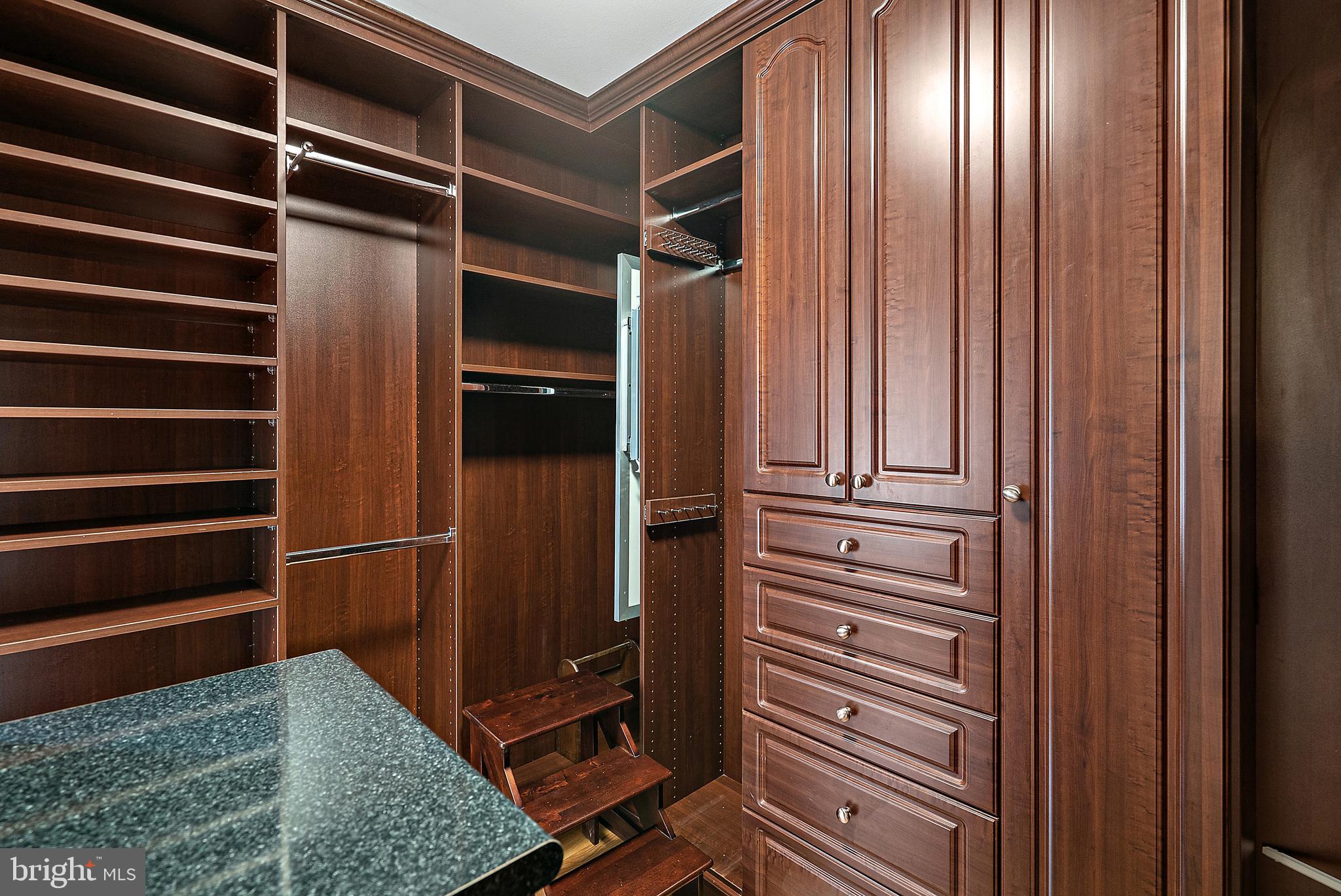 638 Seneca Road Great Falls, VA 22066 - Photo 32 of 83 Master Bedroom Walk-in Closet