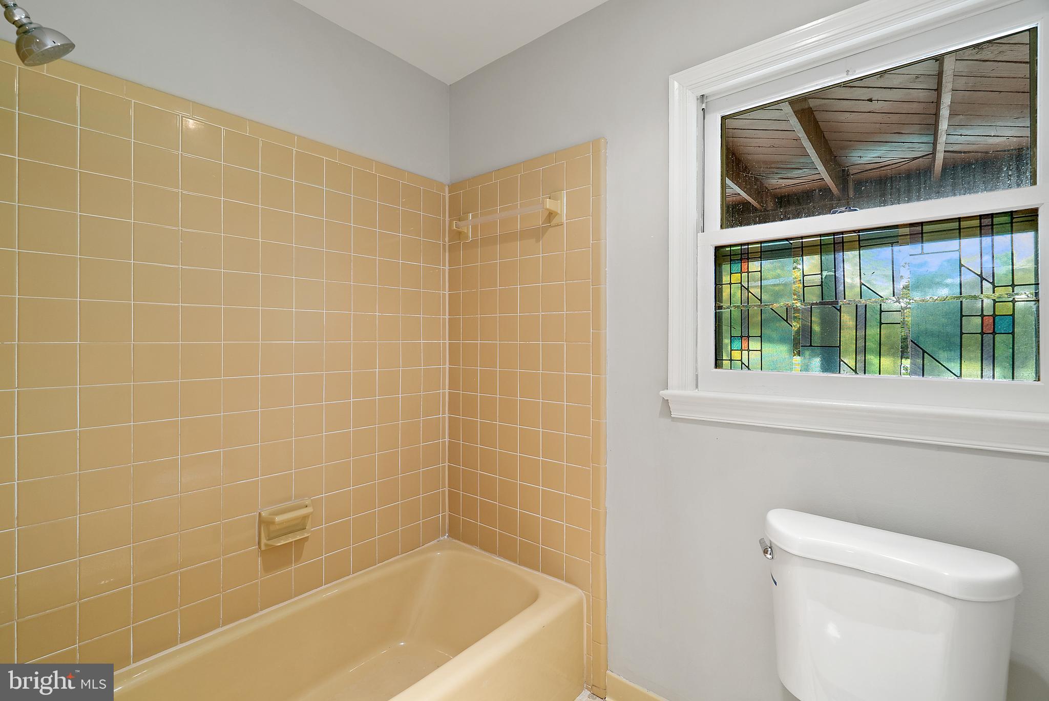 638 Seneca Road Great Falls, VA 22066 - Photo 53 of 83 Basement Full Bathroom