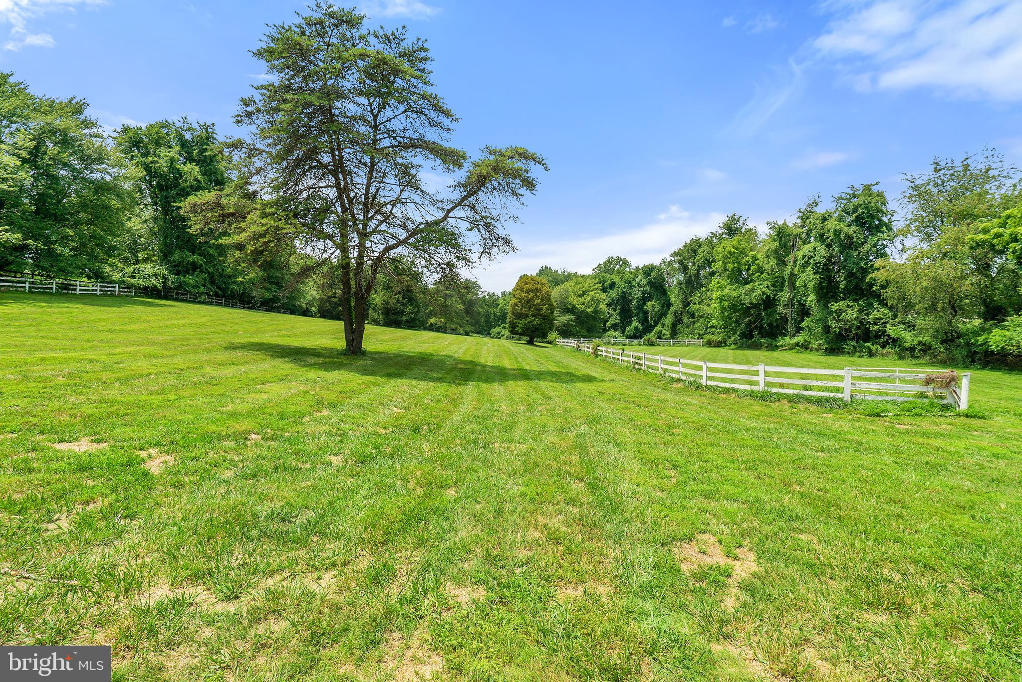 638 Seneca Road Great Falls, VA 22066 - Photo 73 of 83 Private 5 Acre Lot W/Separate Fence for Horses