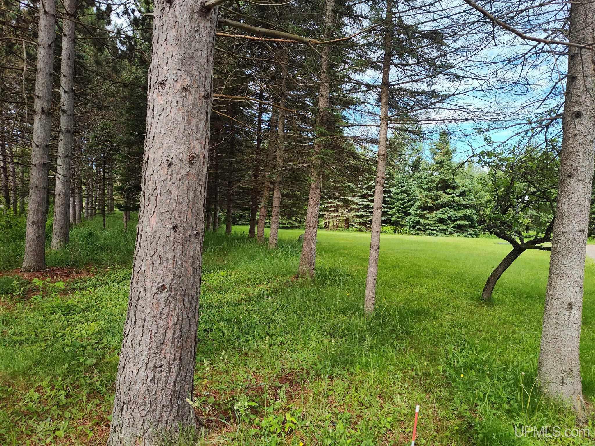 497 Bates-Amasa Road Iron River, MI 49935 - Photo 3 of 40