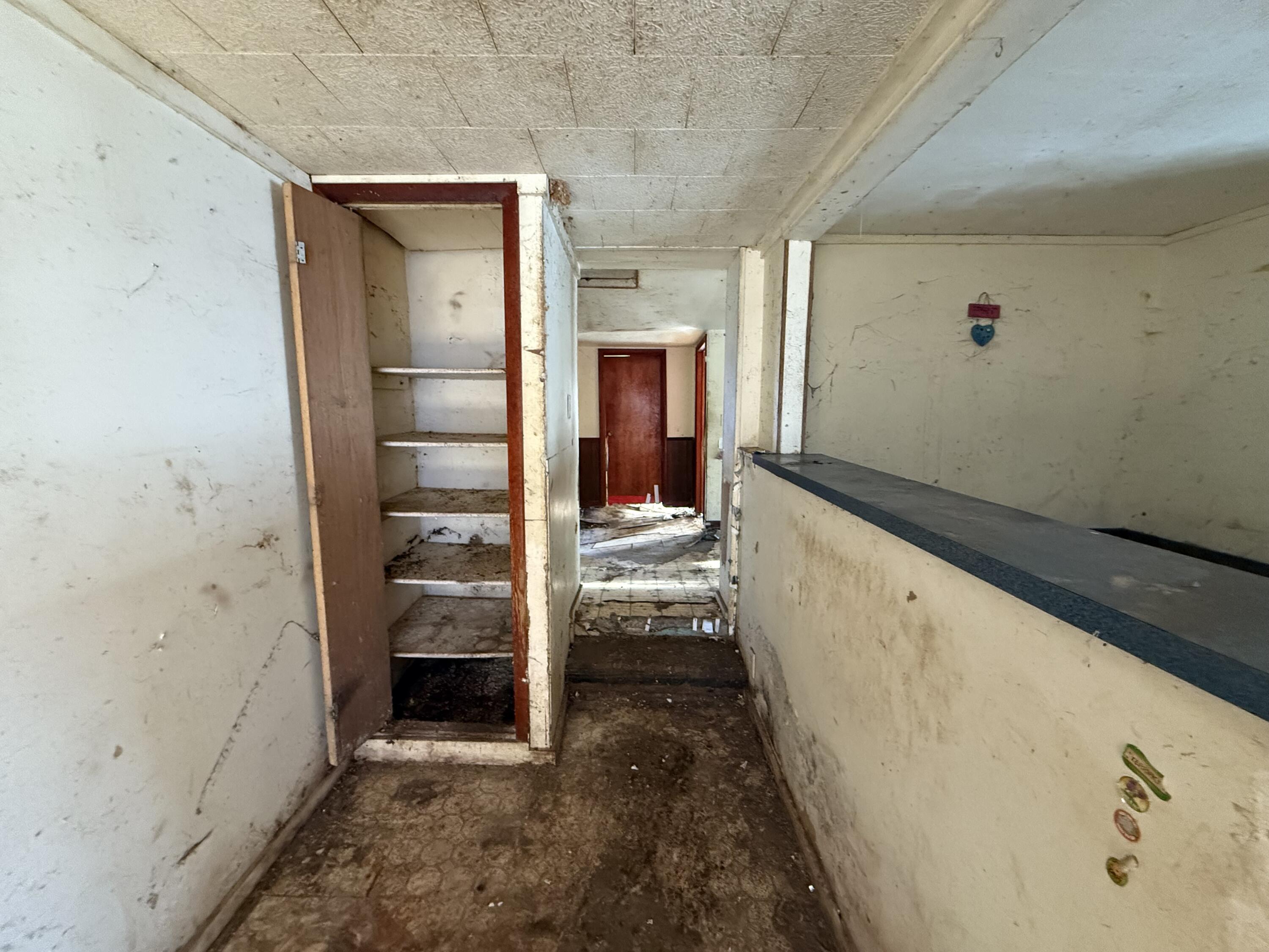 2051 Battle Creek Road Charlotte, MI 48813 - Photo 11 of 20 IMG_6152