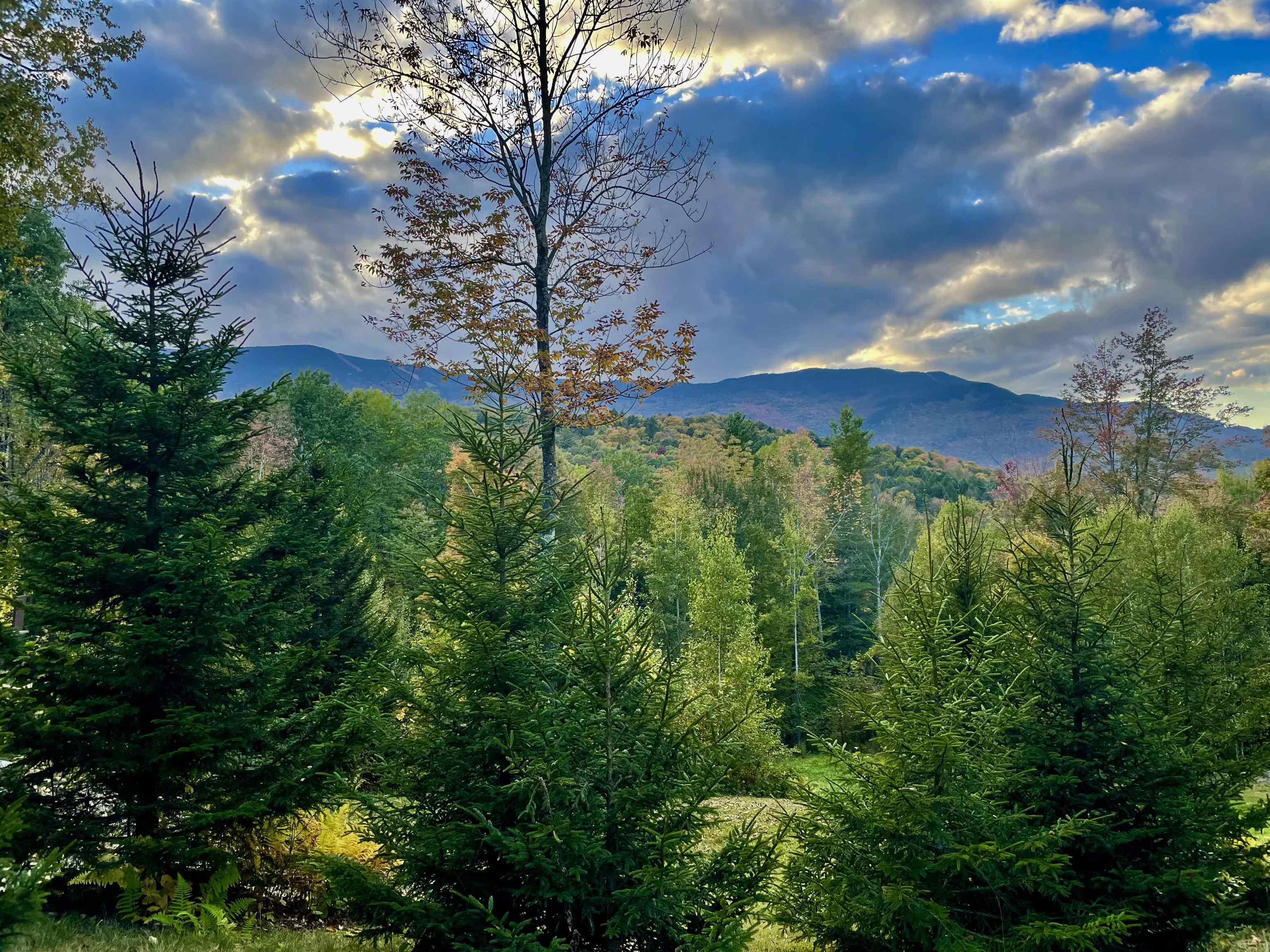 136 Old Quarry Road Fayston, VT 05673 - Photo 26 of 28