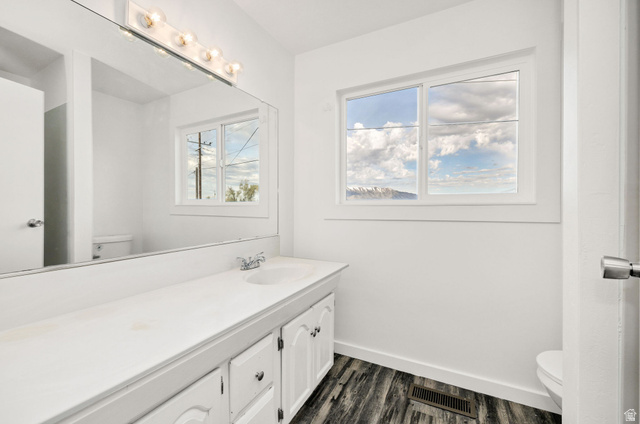 4155 Johnson Road Nibley, UT 84321 - Photo 17 of 71 Bathroom featuring vanity, healthy amount of natural light, and dark wood-style floors