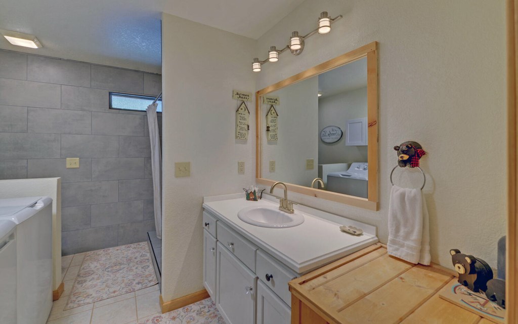 445 Tranquil Cove Road Murphy, NC 28906 - Photo 28 of 77 a bathroom with a sink mirror and a shower