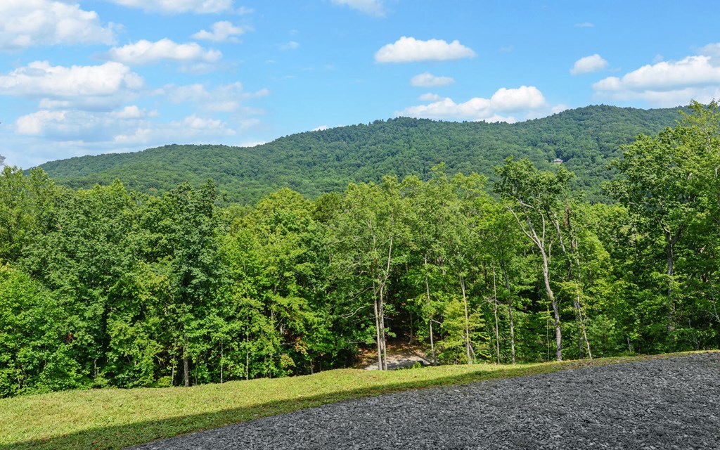 445 Tranquil Cove Road Murphy, NC 28906 - Photo 60 of 77