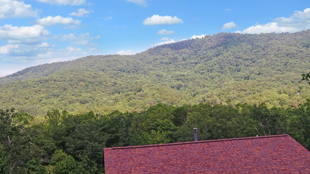 445 Tranquil Cove Road Murphy, NC 28906 - Photo 63 of 77 a view of a dry yard with mountains in the background