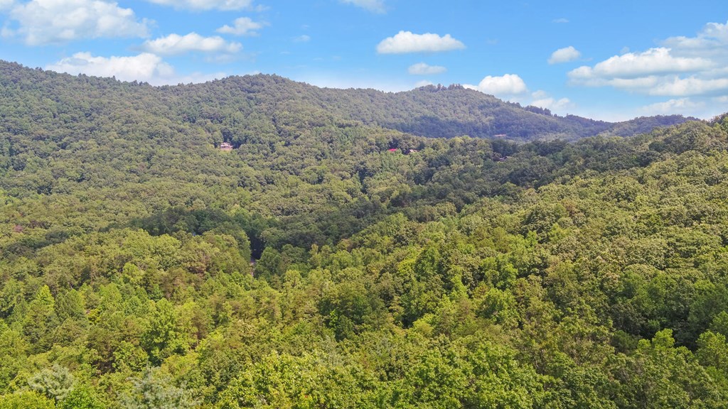 445 Tranquil Cove Road Murphy, NC 28906 - Photo 67 of 77