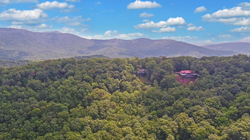 445 Tranquil Cove Road Murphy, NC 28906 - Photo 69 of 77