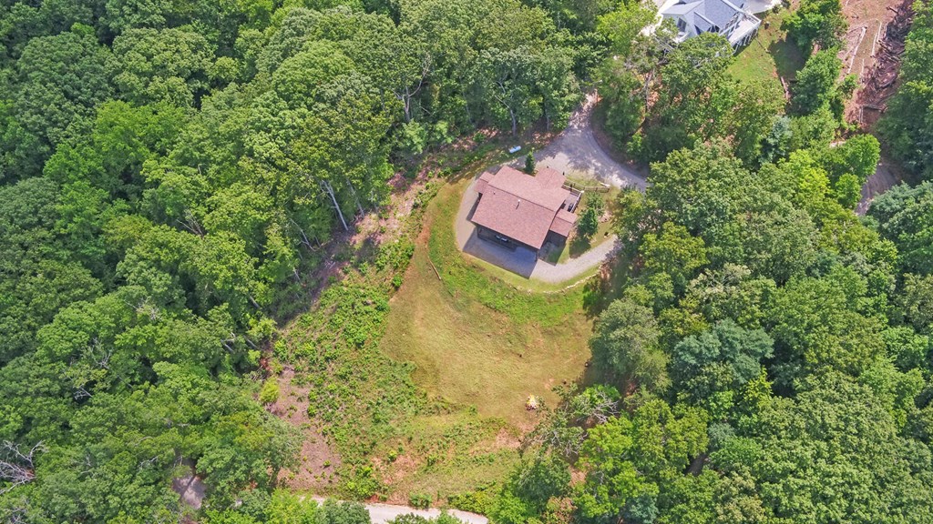 445 Tranquil Cove Road Murphy, NC 28906 - Photo 70 of 77 an aerial view of a house with a yard and large trees