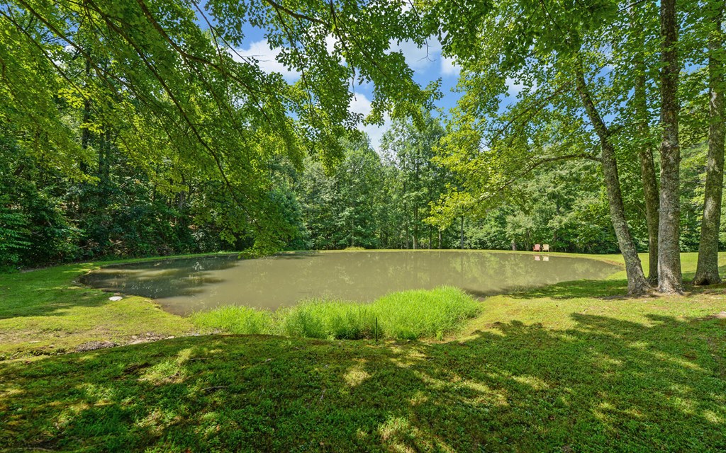 445 Tranquil Cove Road Murphy, NC 28906 - Photo 73 of 77 a view of yard with swimming pool and green space