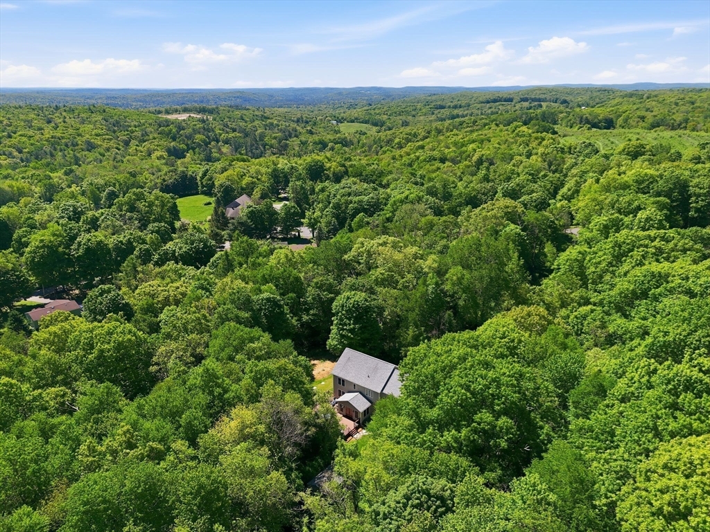 345 Bragg Road Warren, MA 01585 - Photo 38 of 41 a view of a lush green forest with houses