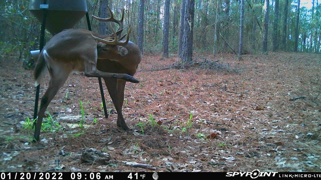 363 Jones Road Climax, GA 39834 - Photo 32 of 33 Gallery Image 32