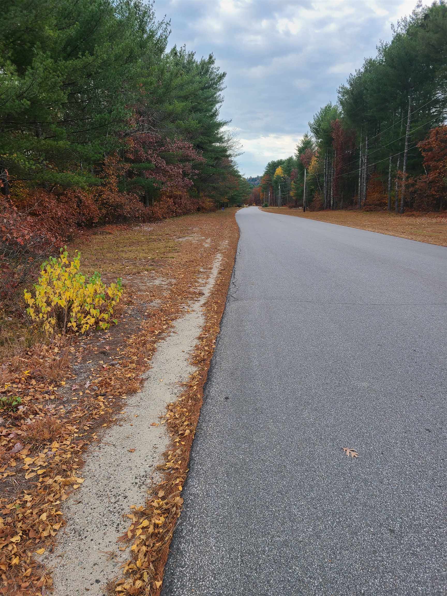 32 Monticello Drive Andover, NH 03216 - Photo 5 of 5
