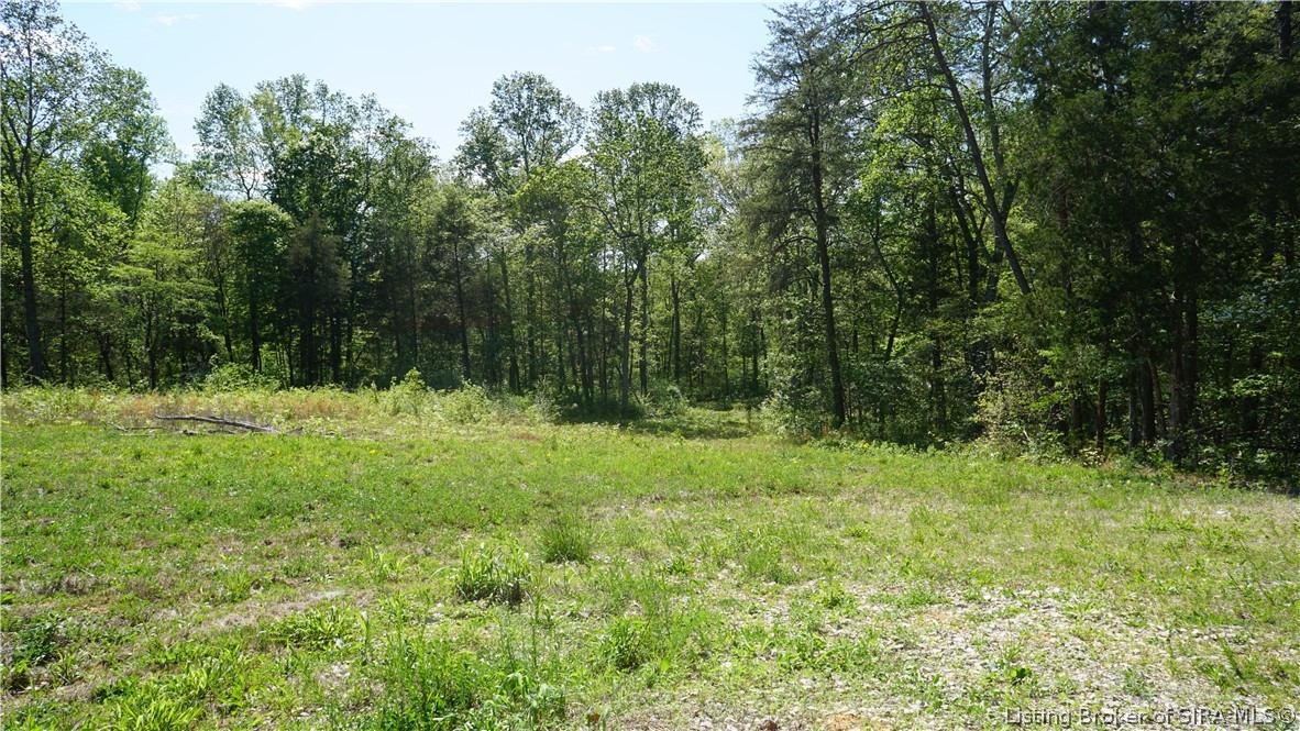 1.9-ac Albin Ford Road Southeast Elizabeth, IN 47117 - Photo 3 of 10