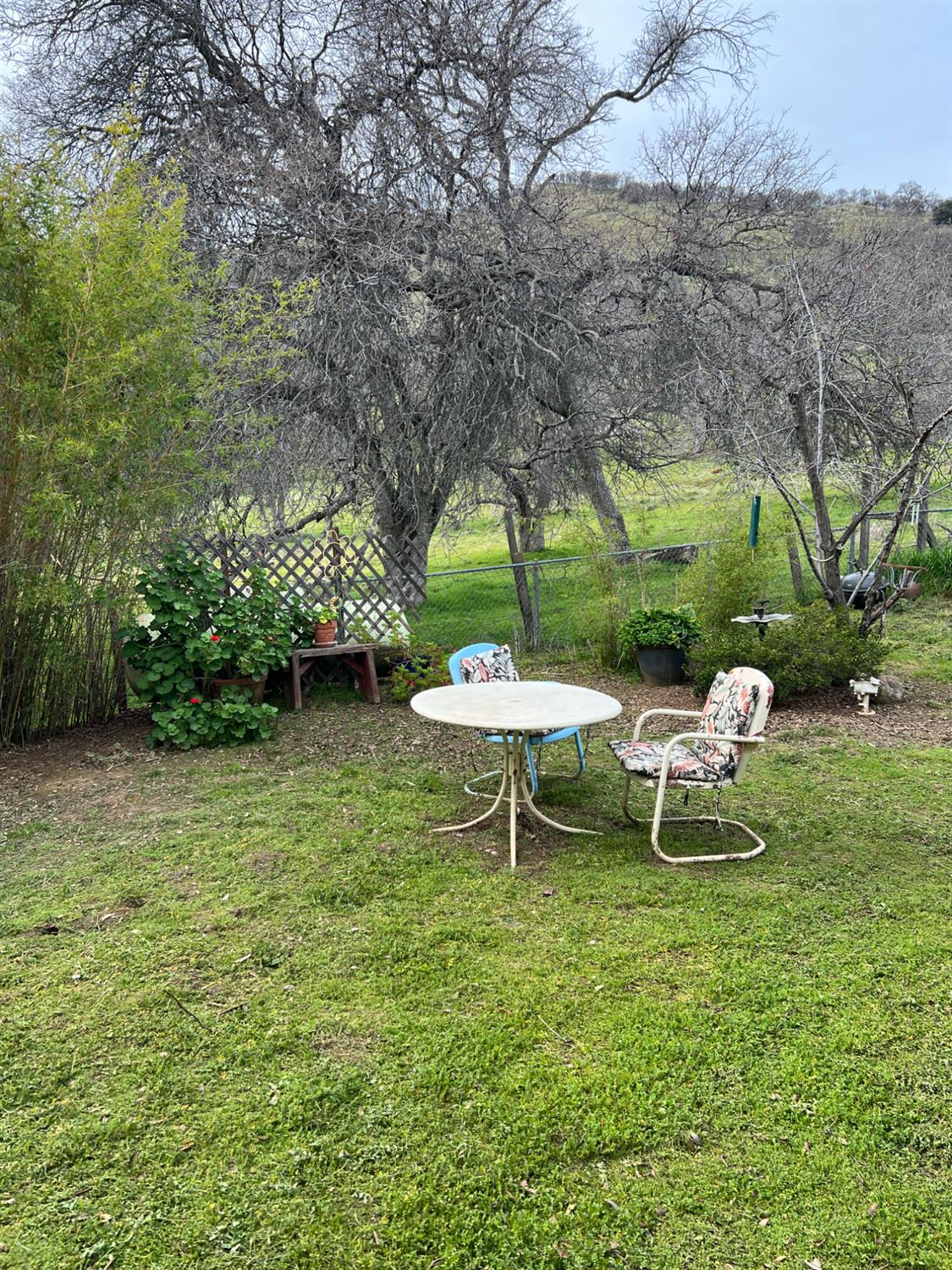 30284 Bear Mountain Road Squaw Valley, CA 93675 - Photo 29 of 62