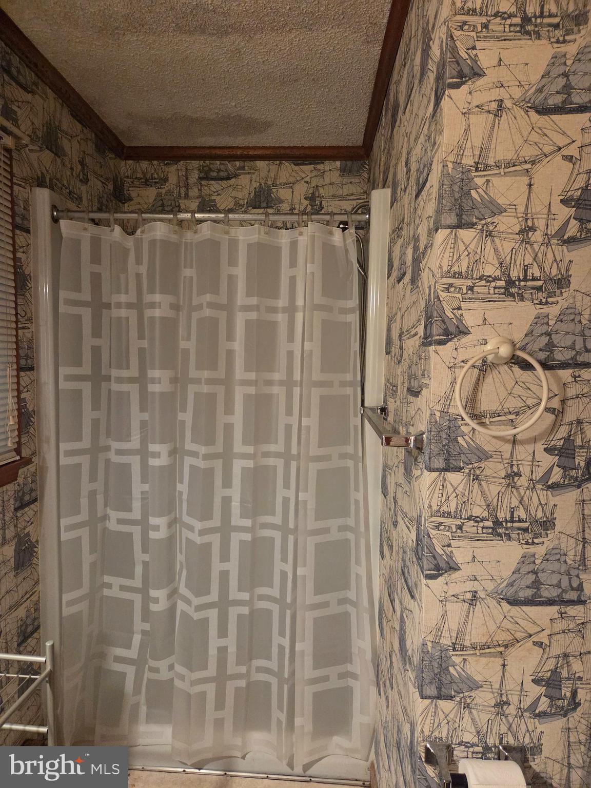 21245 Tanyard Road Preston, MD 21655 - Photo 7 of 10 a bathroom with a shower