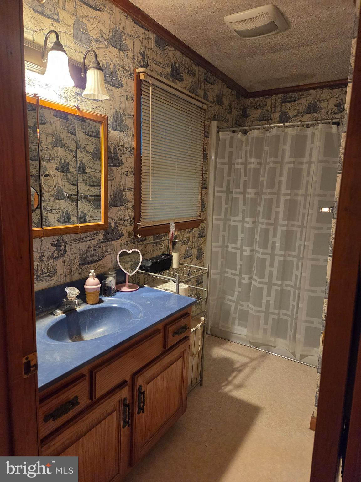 21245 Tanyard Road Preston, MD 21655 - Photo 9 of 10 a bathroom with a sink and a mirror