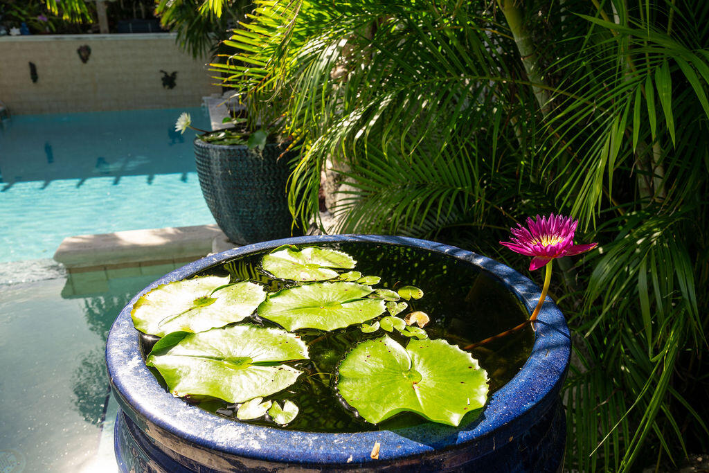 1407 Rose Street Key West, FL 33040 - Photo 62 of 74 a view of a swimming pool with a fountain
