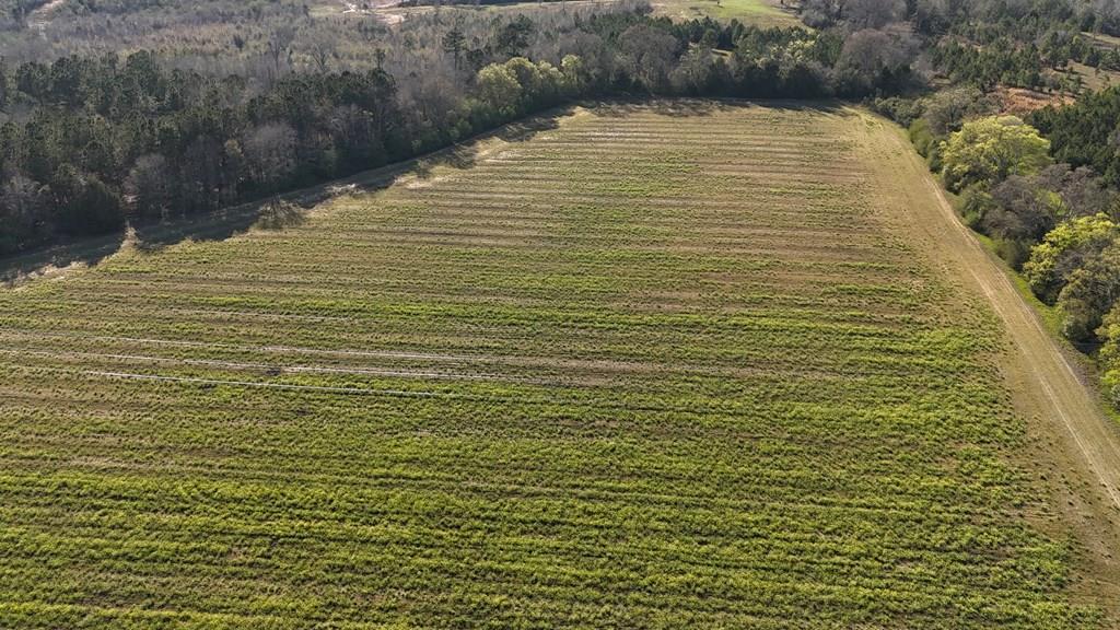Lot 8 Gilley Mill Road Dothan, AL 36305 - Photo 1 of 4