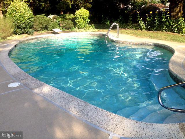 6427 Haystack Road Alexandria, VA 22310 - Photo 6 of 28 POOL!!