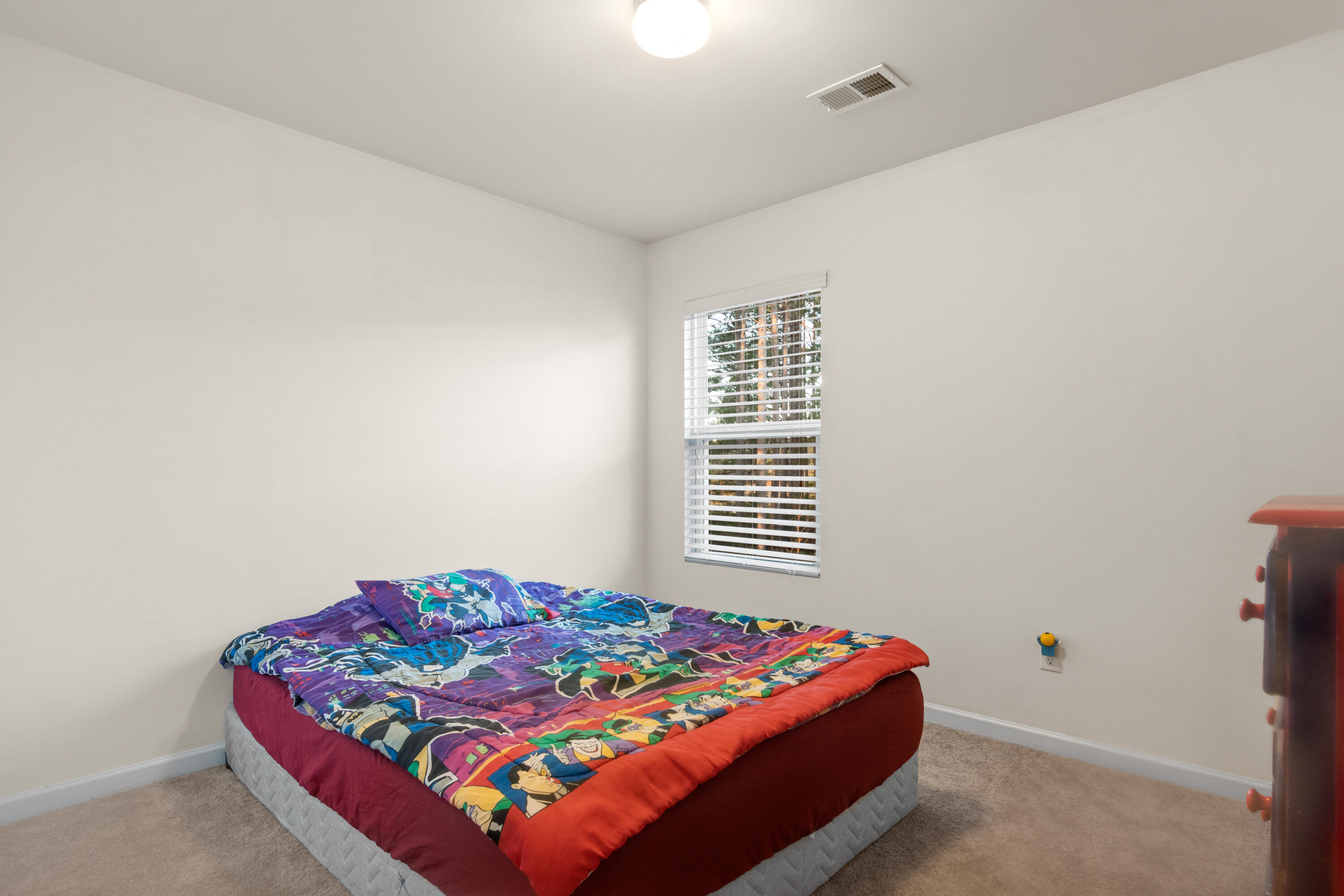 361 Iveson Road Summerville, SC 29486 - Photo 36 of 41 DSC_1392