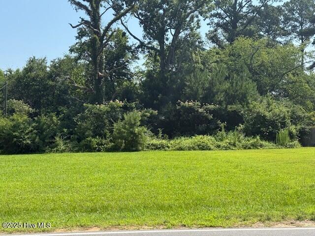 513 Hall Siding Road Ahoskie, NC 27910 - Photo 6 of 24 Lot 3