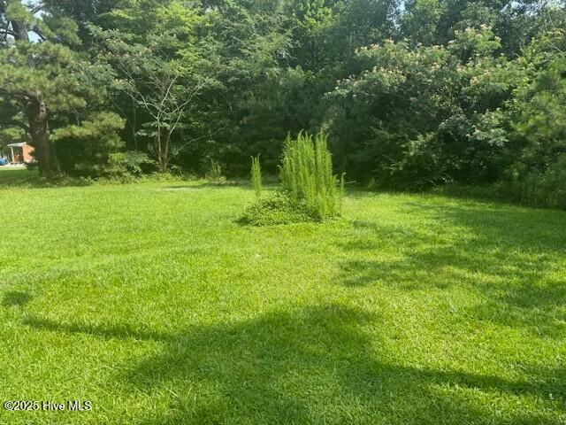 513 Hall Siding Road Ahoskie, NC 27910 - Photo 7 of 24 Backyard