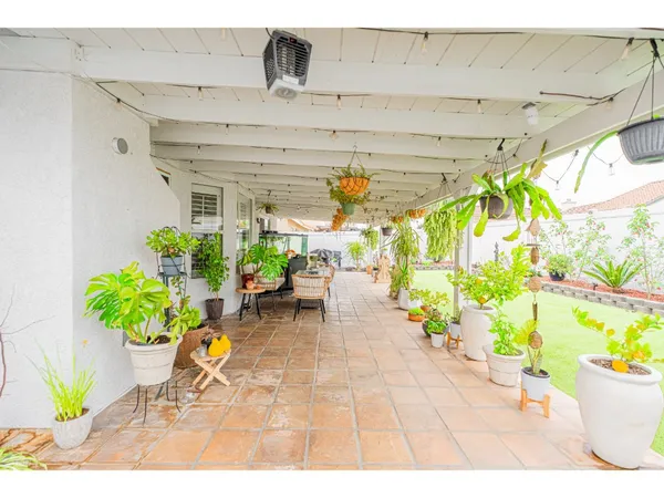 a view of outdoor space with potted plants