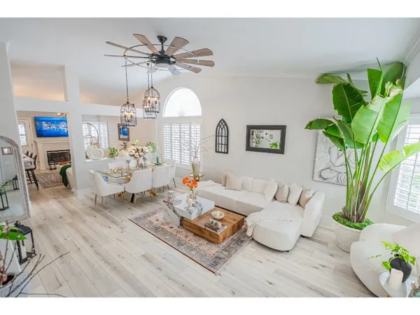 a living room with furniture a chandelier and a potted plant