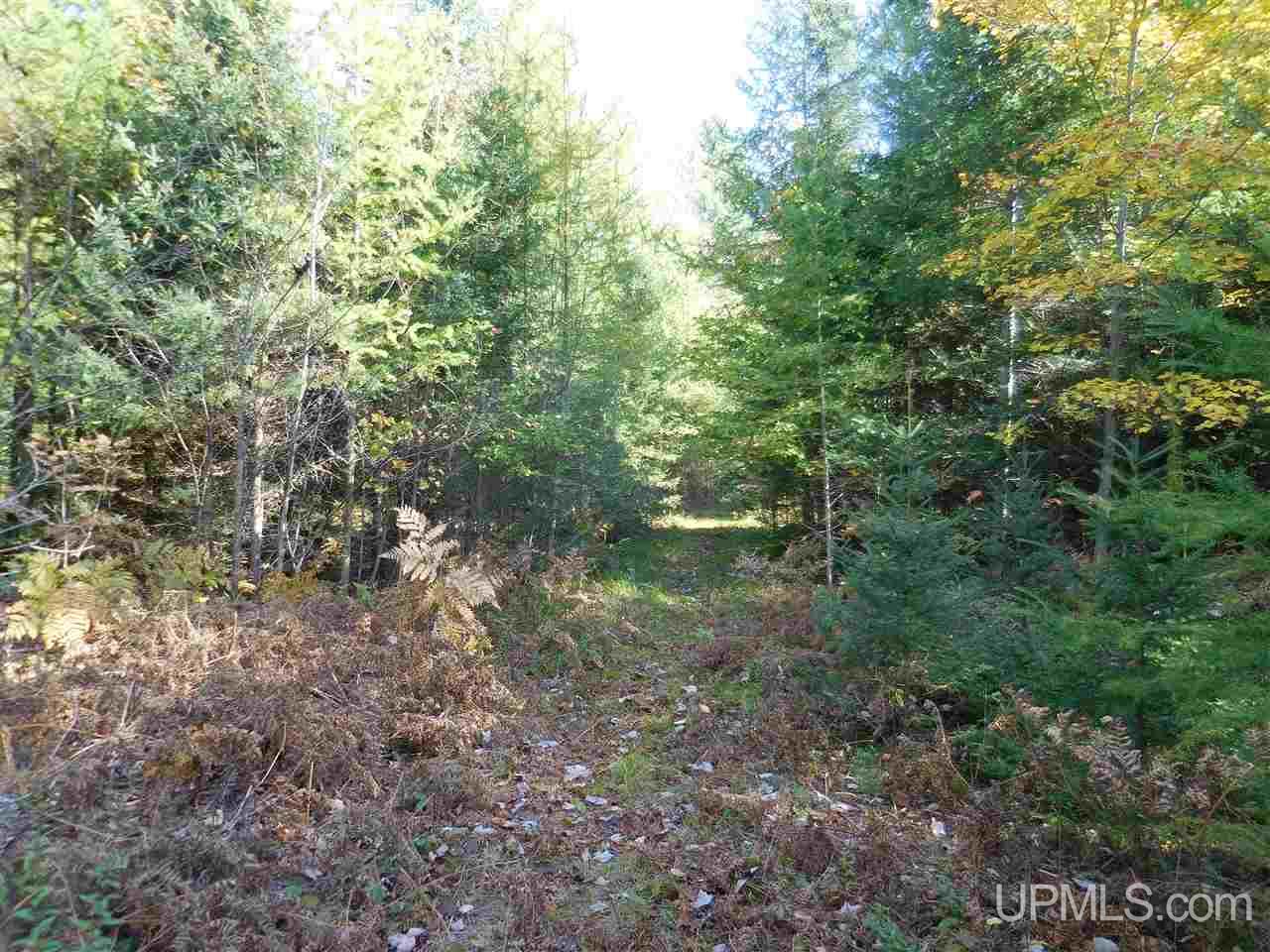 12 Acres Off Rice Road Manistique, MI 49854 - Photo 6 of 14