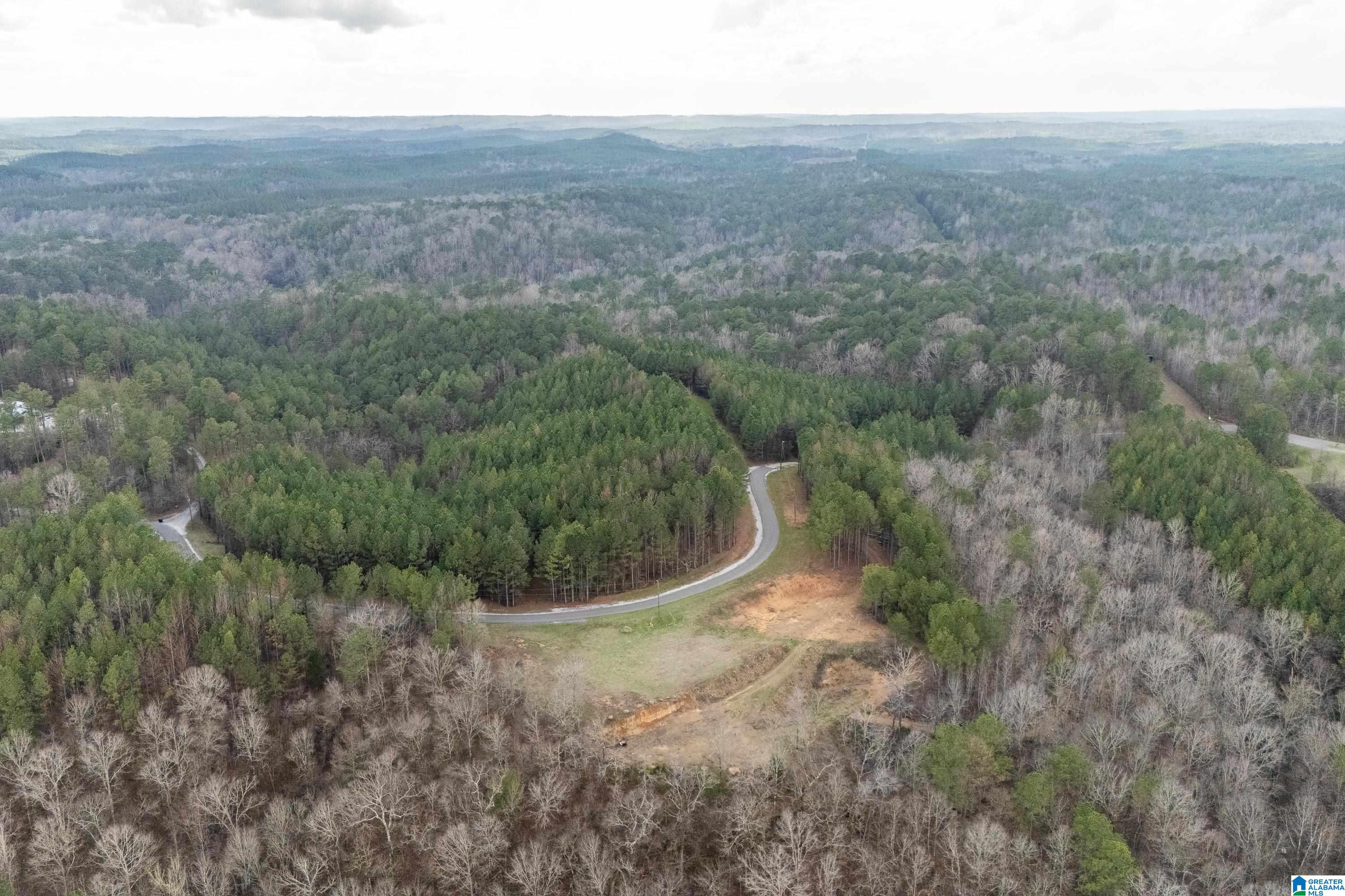 1321 Red Oak Road Helena, AL 35080 - Photo 3 of 12