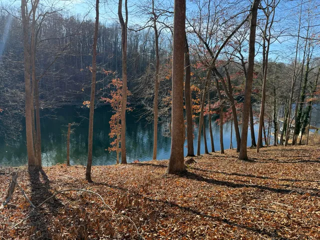 a view of a backyard of the house