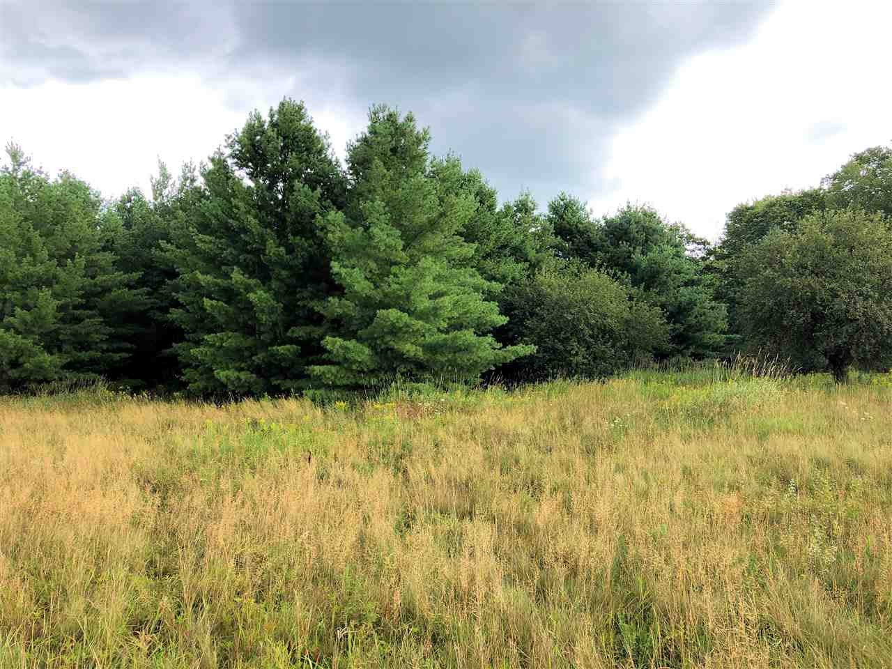 8385 East Davis Road Merritt, MI 49667 - Photo 27 of 31 Gallery Image 27