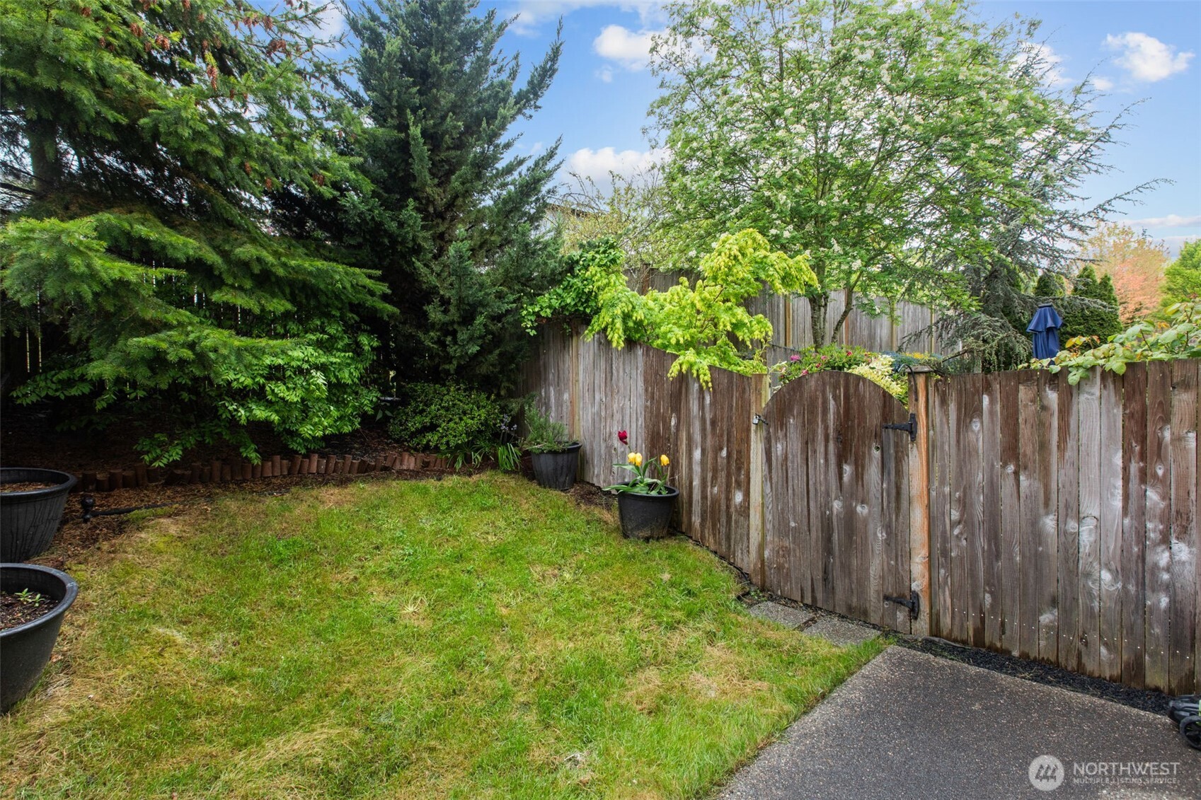 532 Pilchuck Path Everett, WA 98201 - Photo 31 of 37 a view of a backyard with large trees and wooden fence