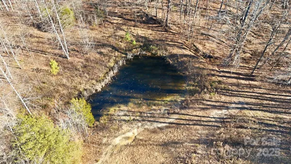 a view of lot of trees with wooden wall
