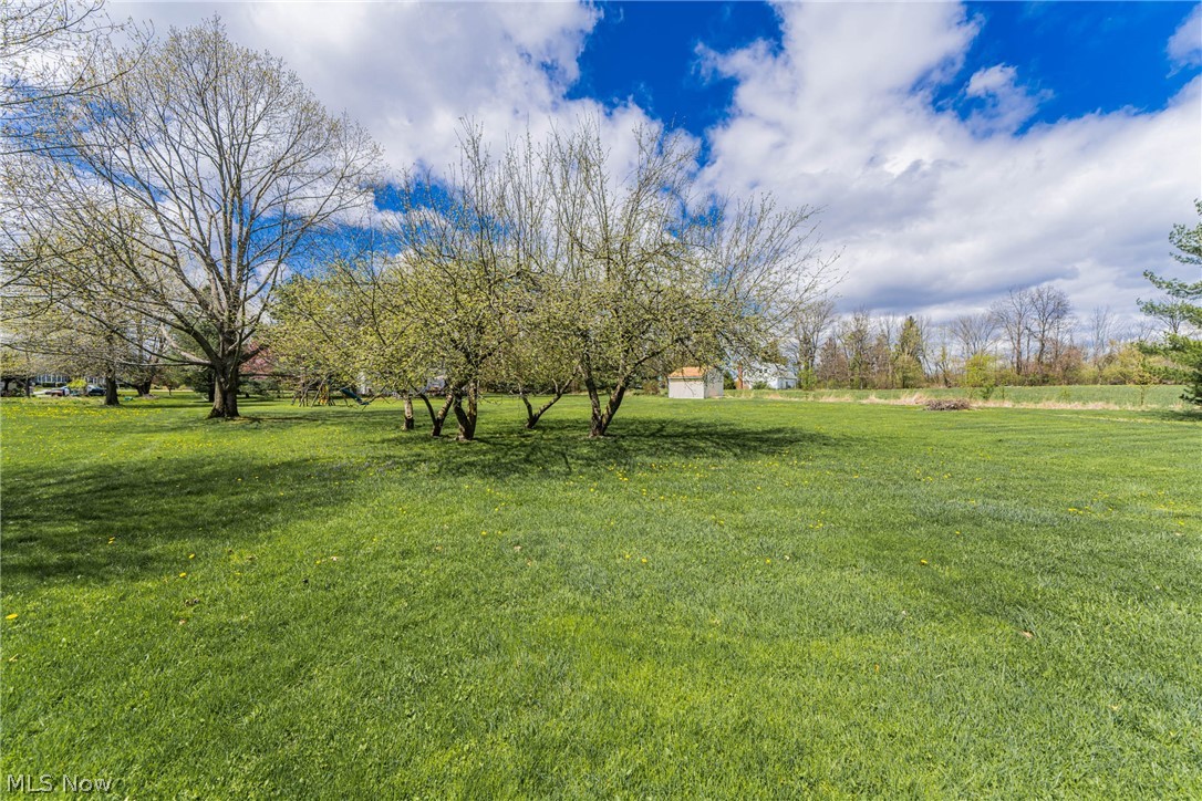 16775 Snyder Road Chagrin Falls, OH 44023 - Photo 28 of 31 View of yard