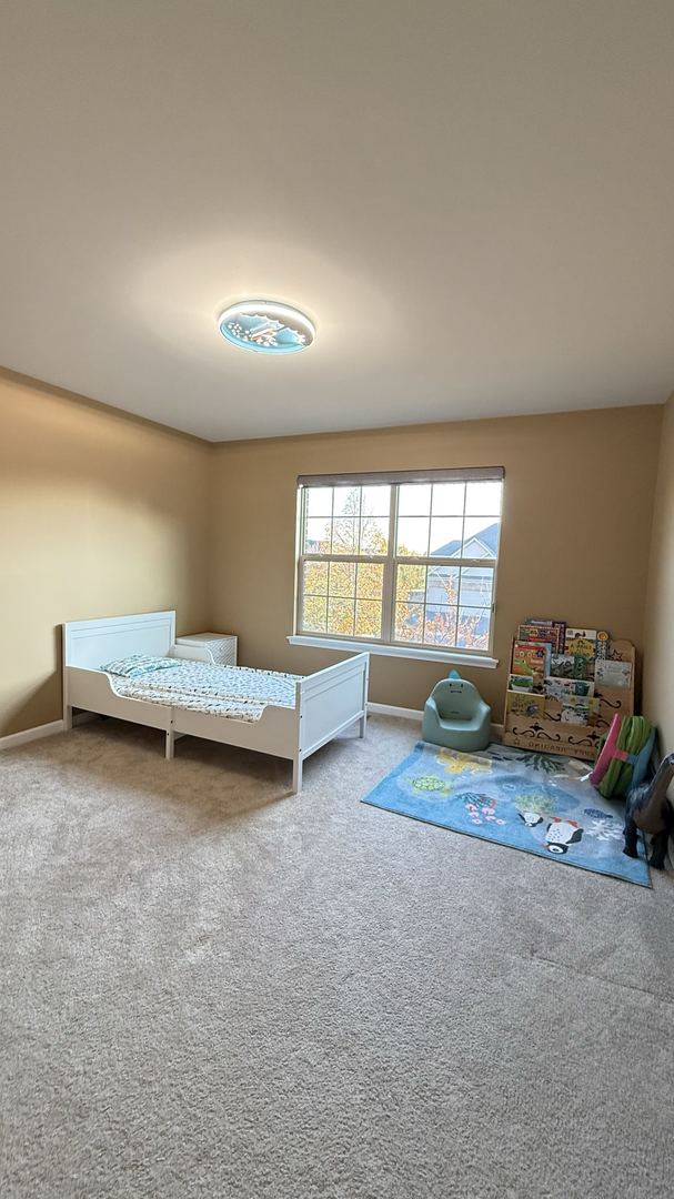 9 Heather Court Bolingbrook, IL 60490 - Photo 36 of 48