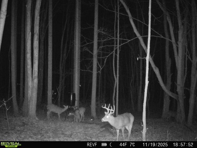99 County Road Warsaw, OH 43844 - Photo 4 of 5 View of nature