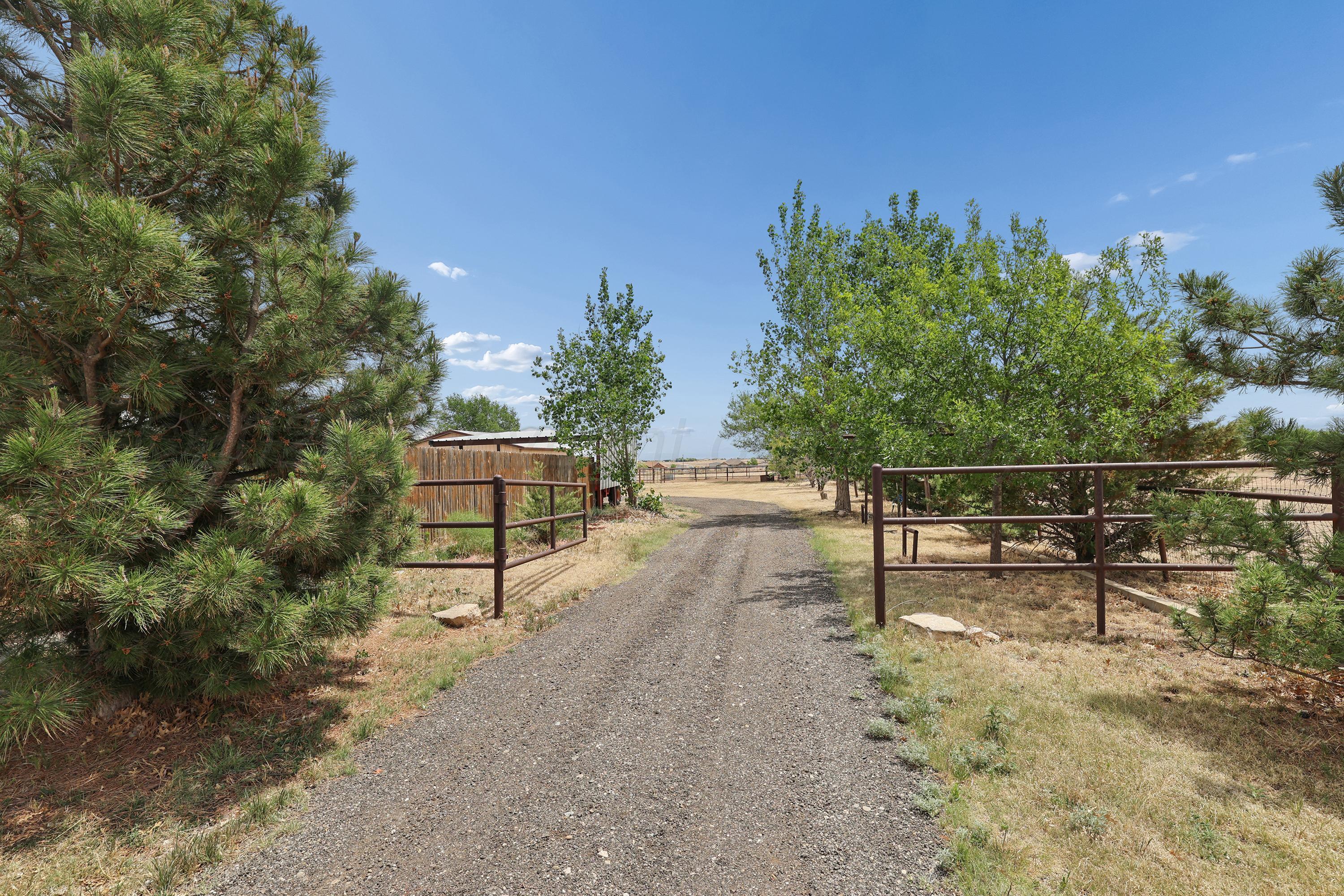 14653 Halsey Trail Amarillo, TX 79118 - Photo 35 of 67 38-Driveway to Back
